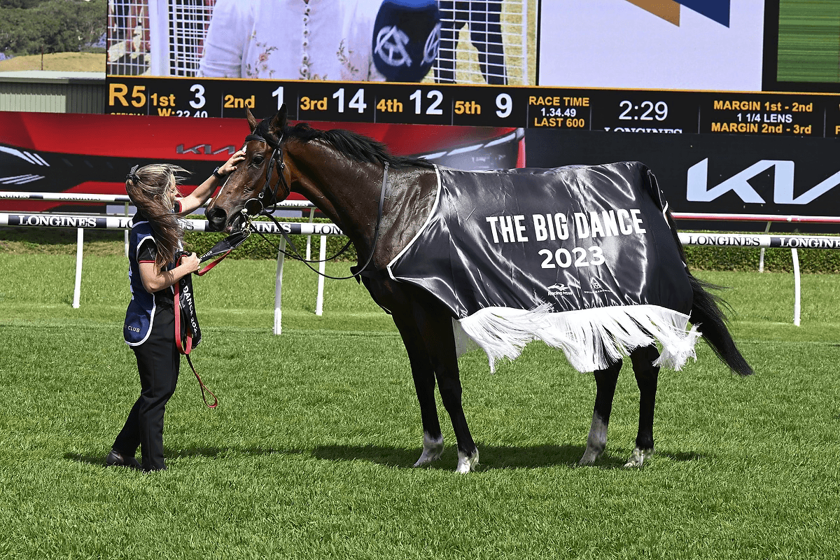 Picture of the author